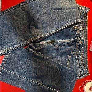 Levi's Men's Blue Jeans